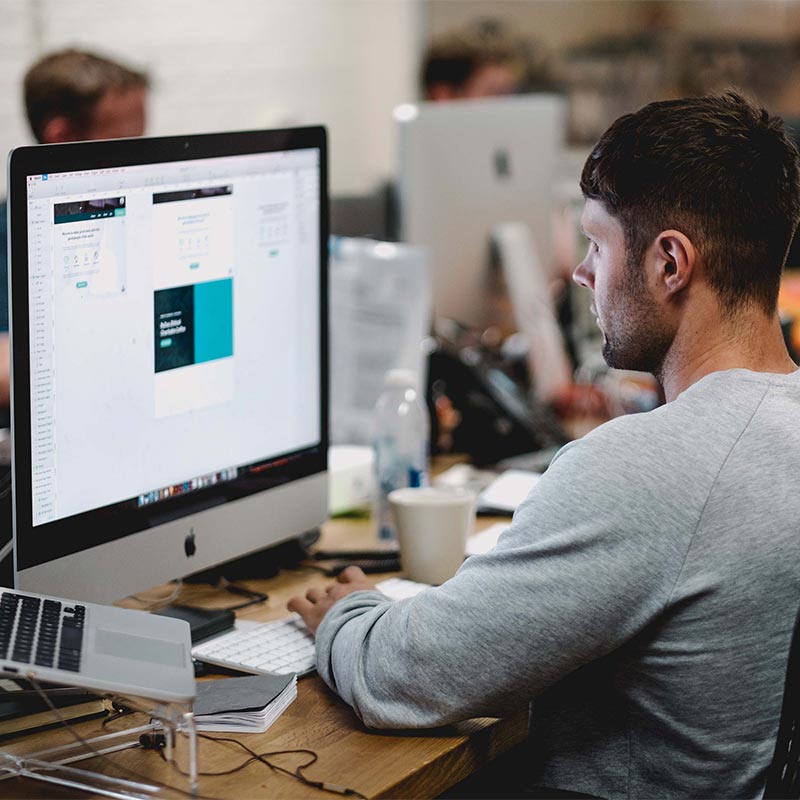 קורס קאנבה ובינה מלאכותית